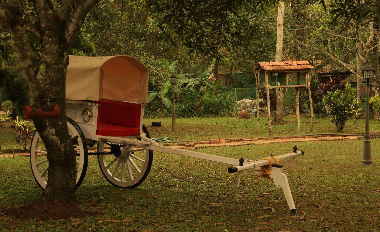 Palathra Heritage Mararikulam Exterior foto