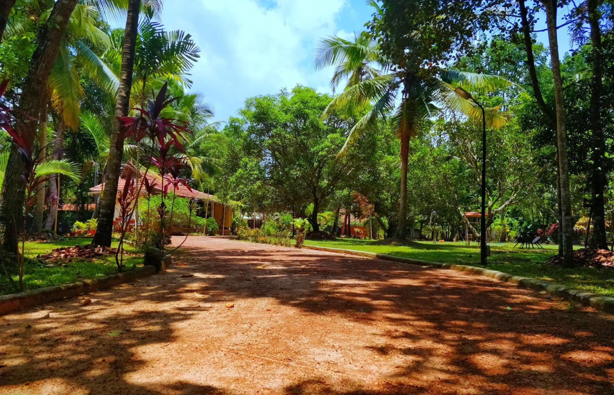 Palathra Heritage Mararikulam Exterior foto